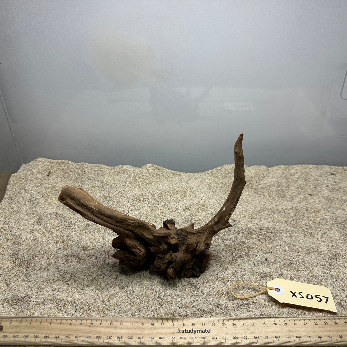 Driftwood (X Small)