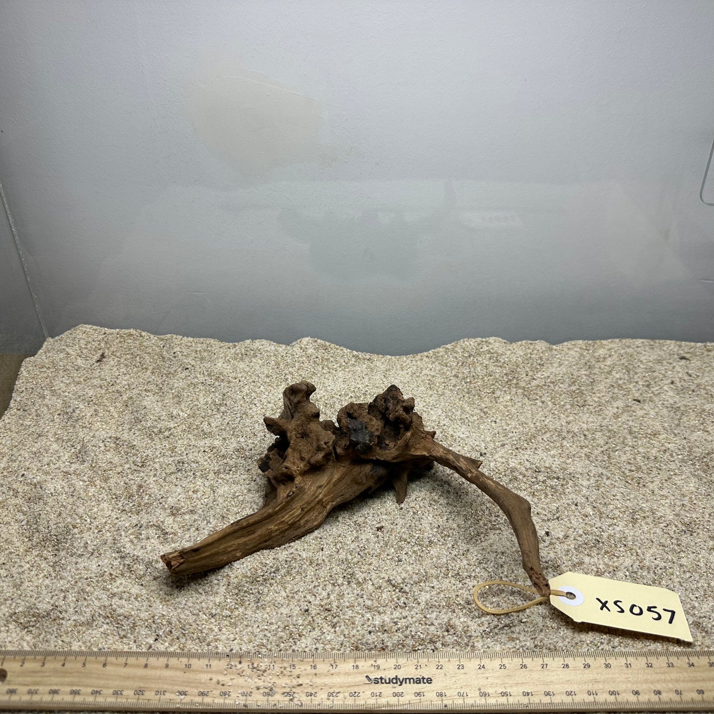 Driftwood (X Small)