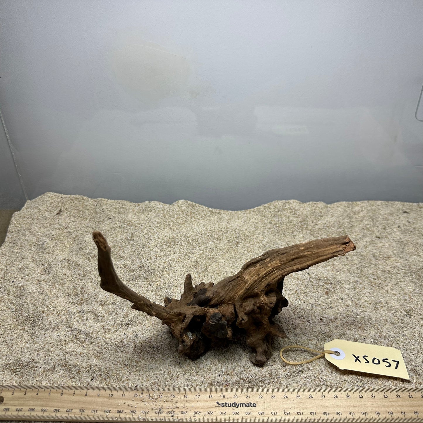 Driftwood (X Small)