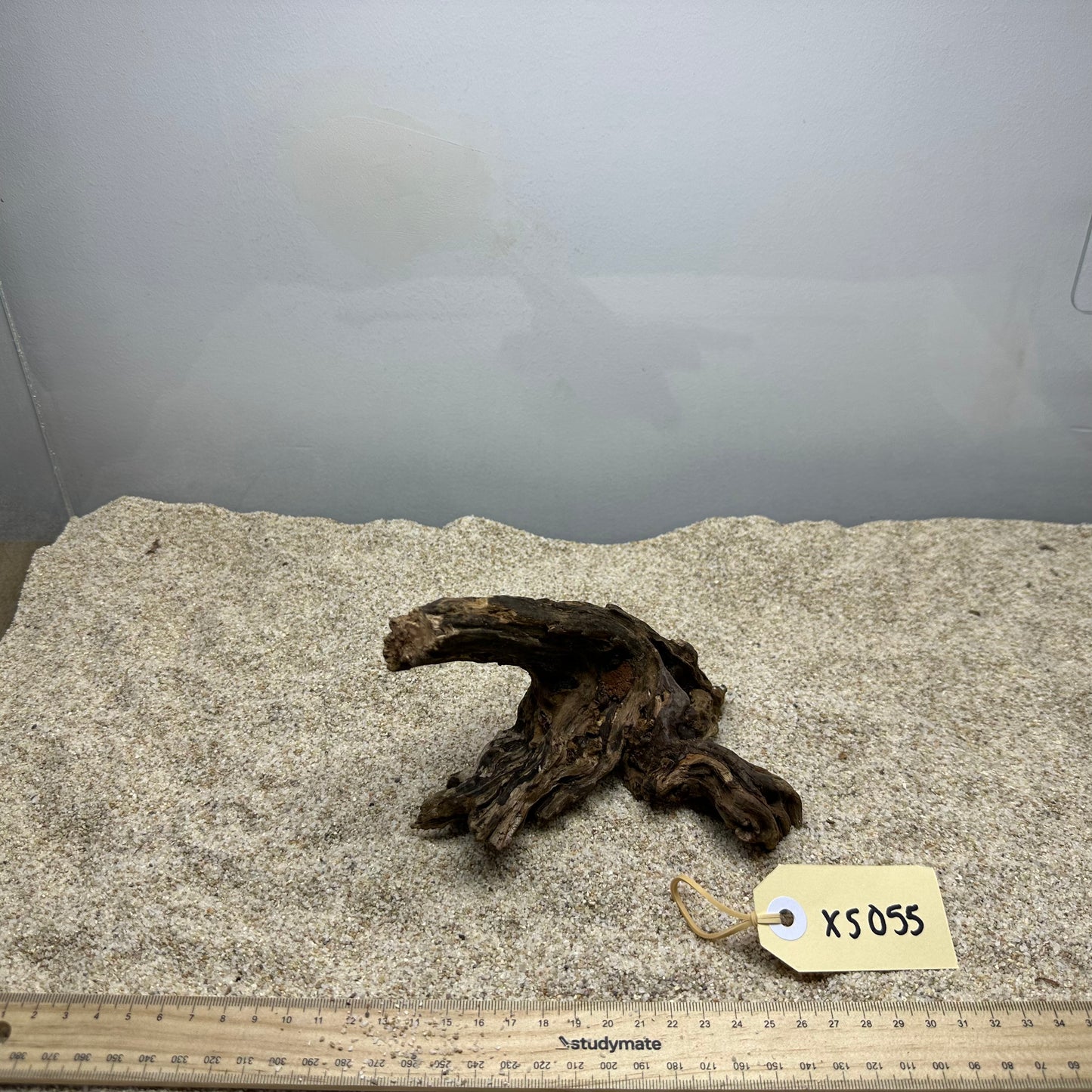Driftwood (X Small)