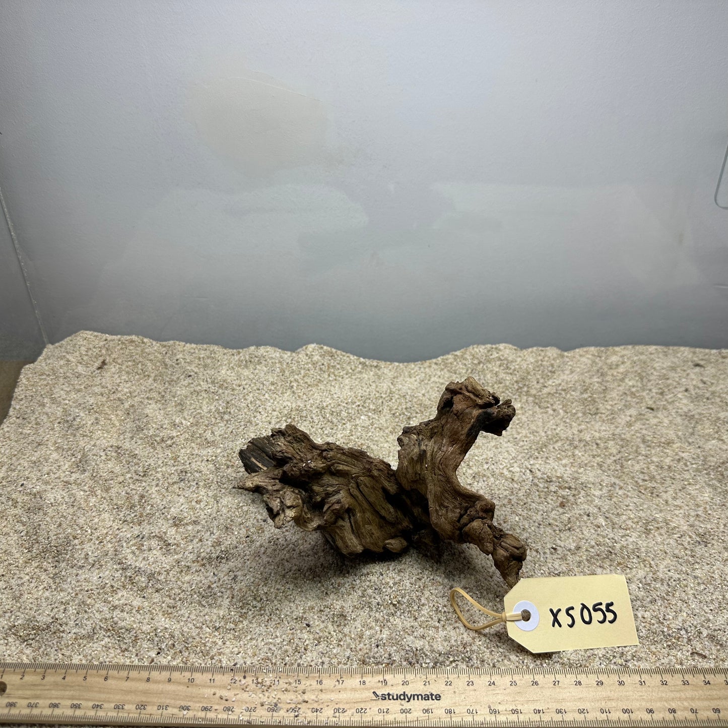 Driftwood (X Small)