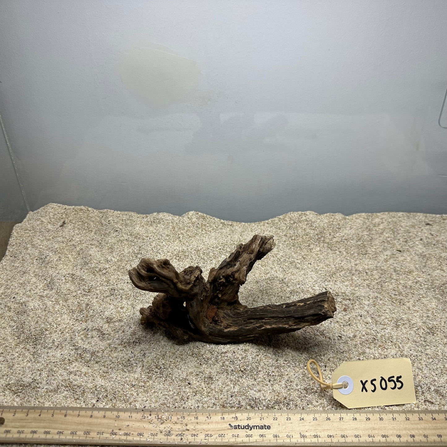 Driftwood (X Small)