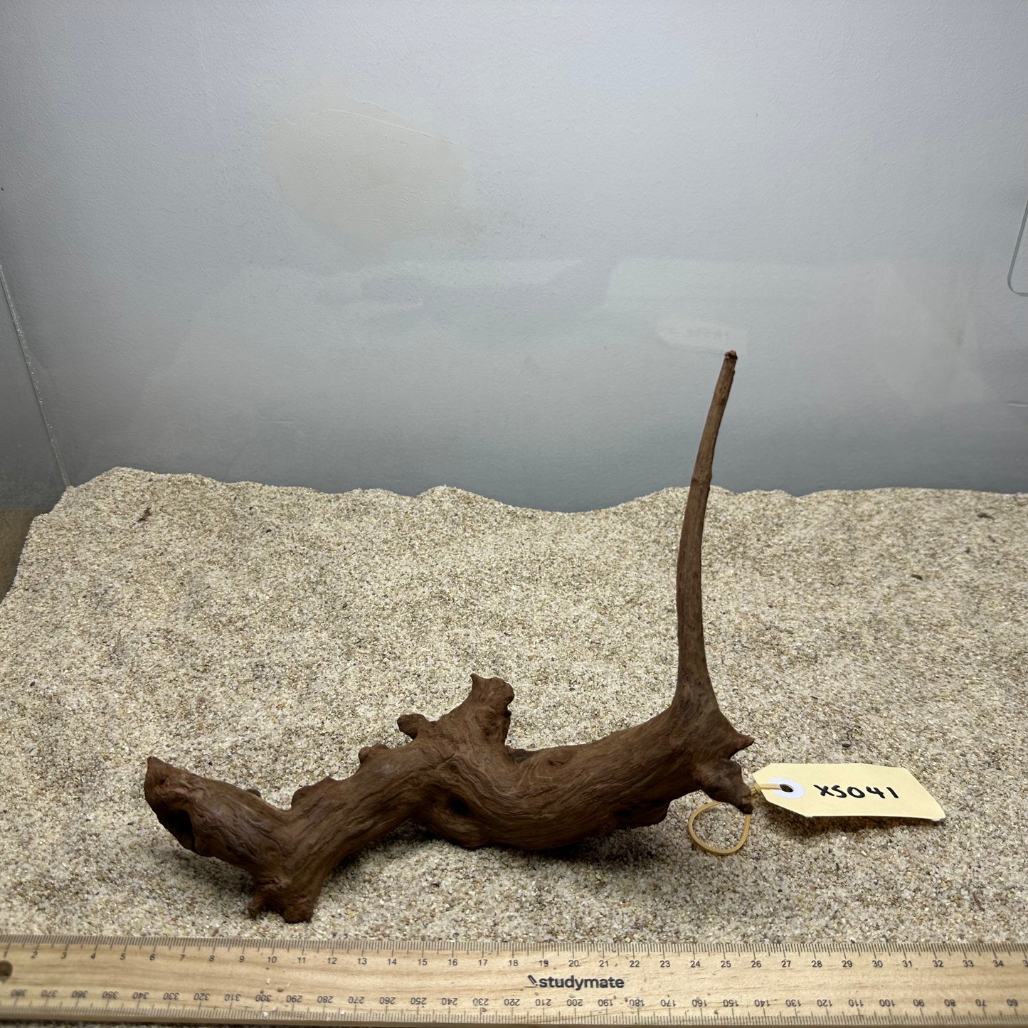 Driftwood (X Small)