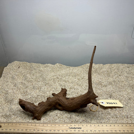 Driftwood (X Small)