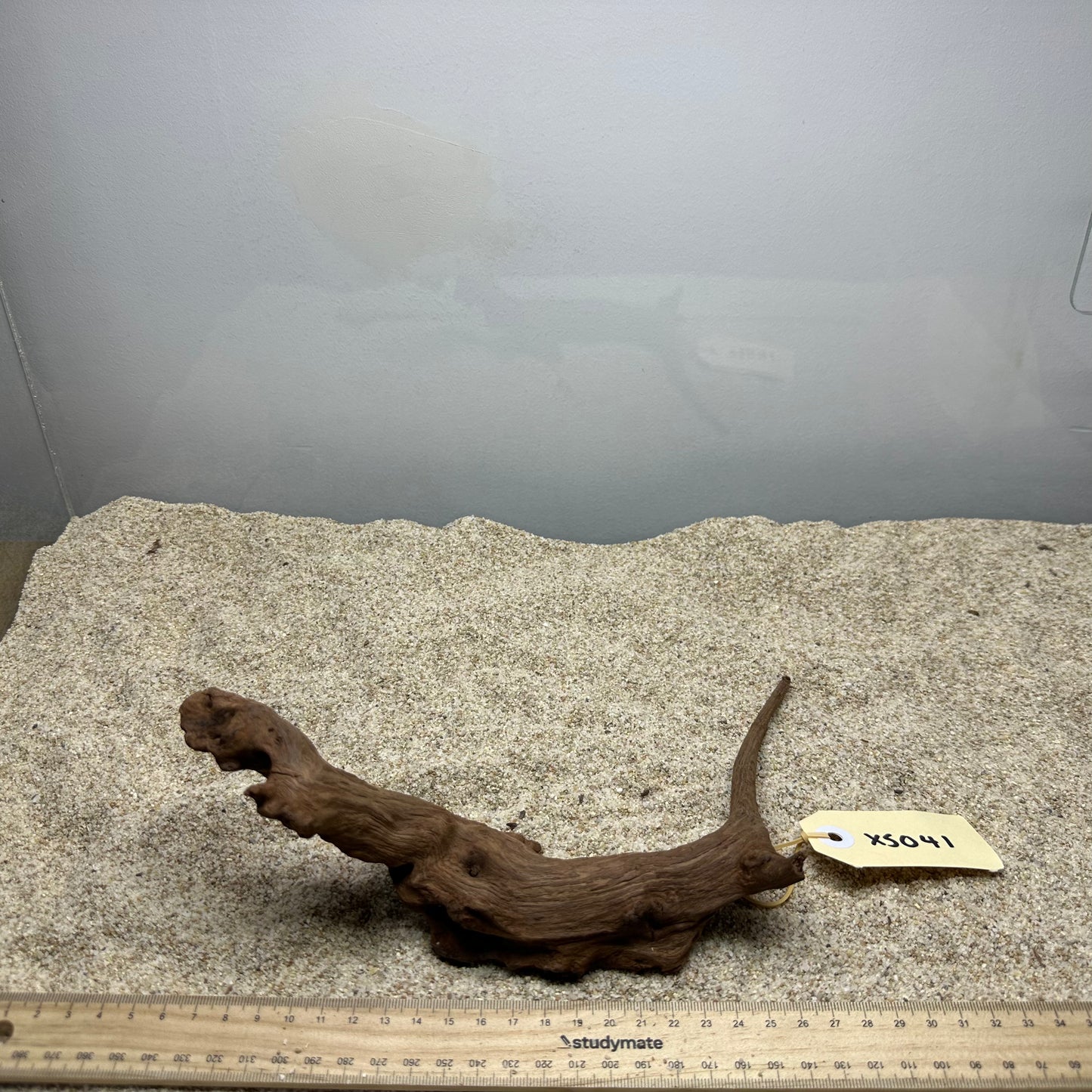 Driftwood (X Small)