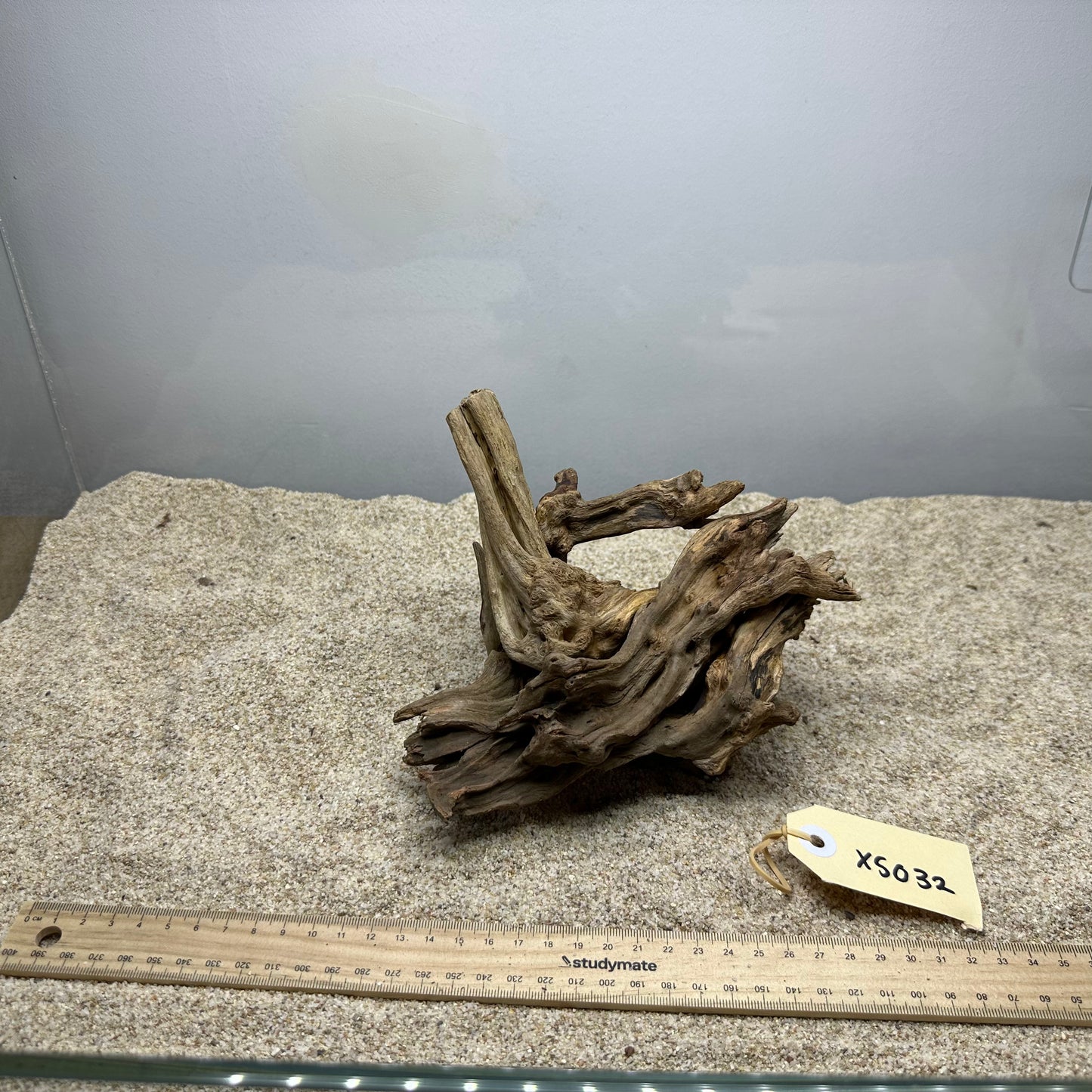 Driftwood (X Small)