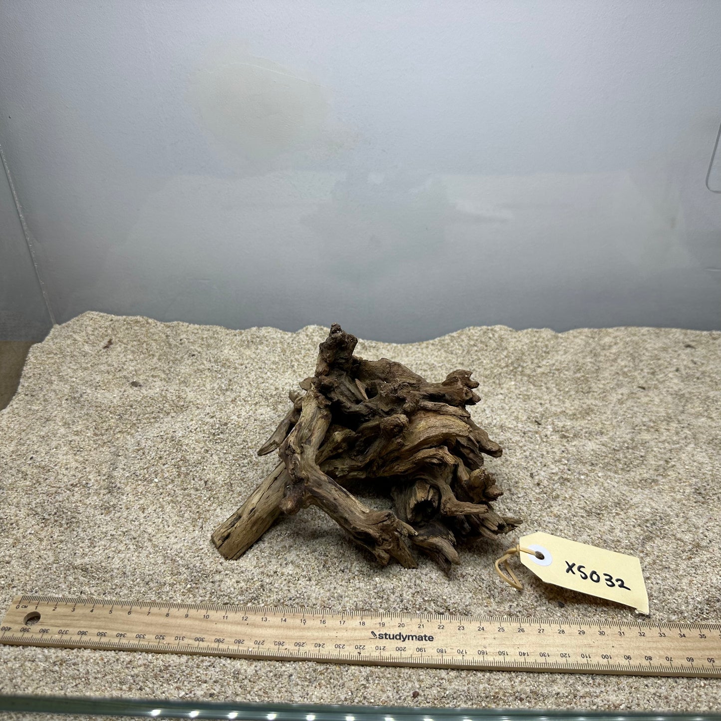 Driftwood (X Small)