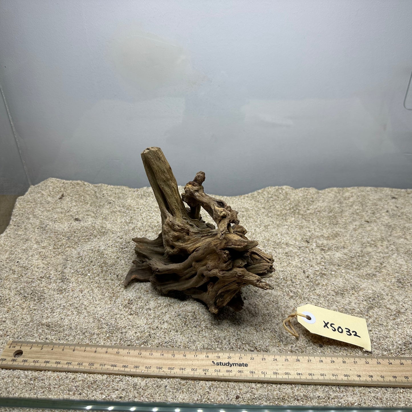 Driftwood (X Small)