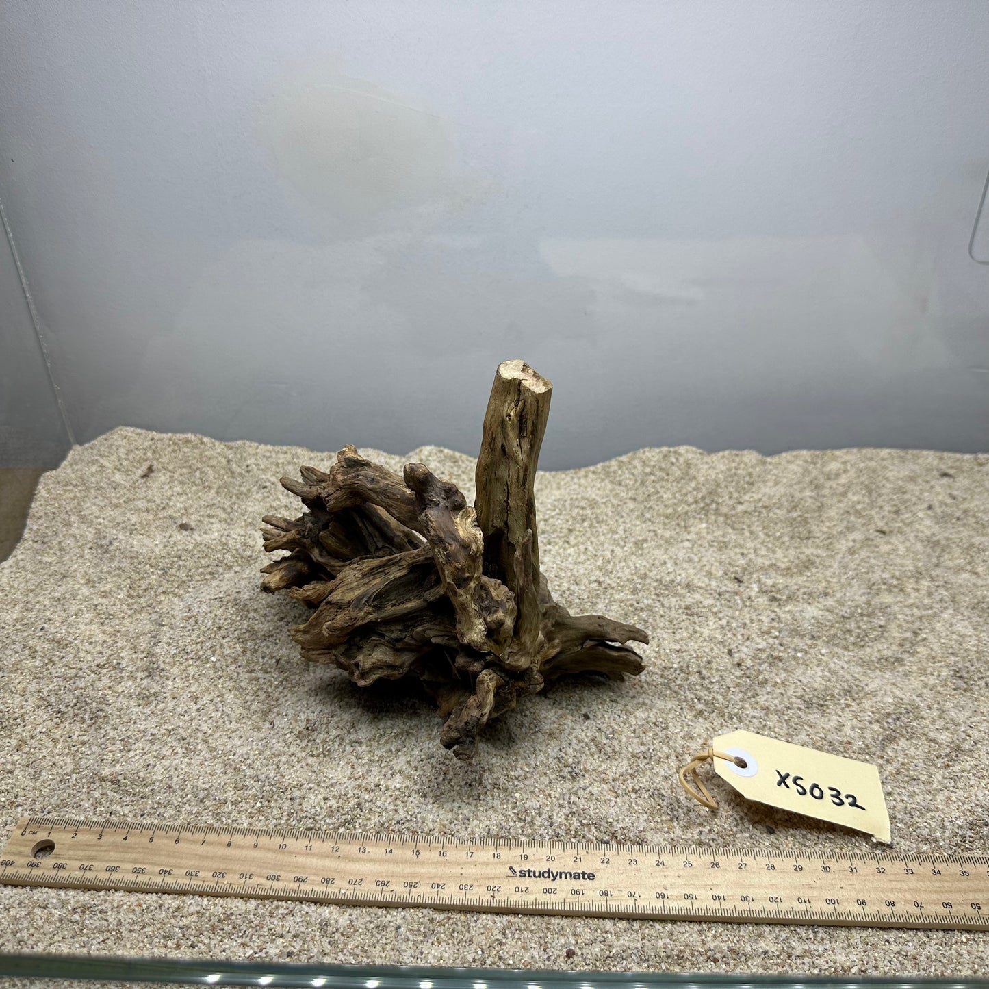 Driftwood (X Small)