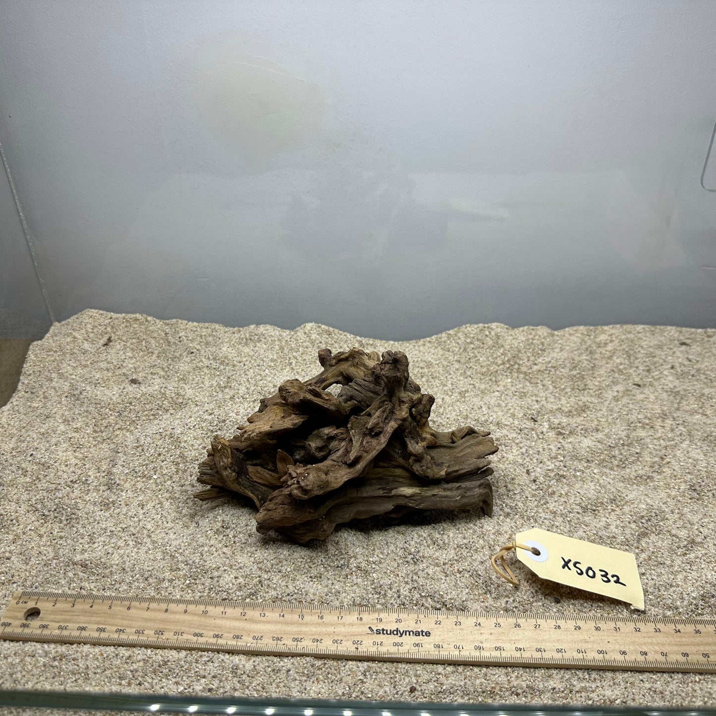 Driftwood (X Small)