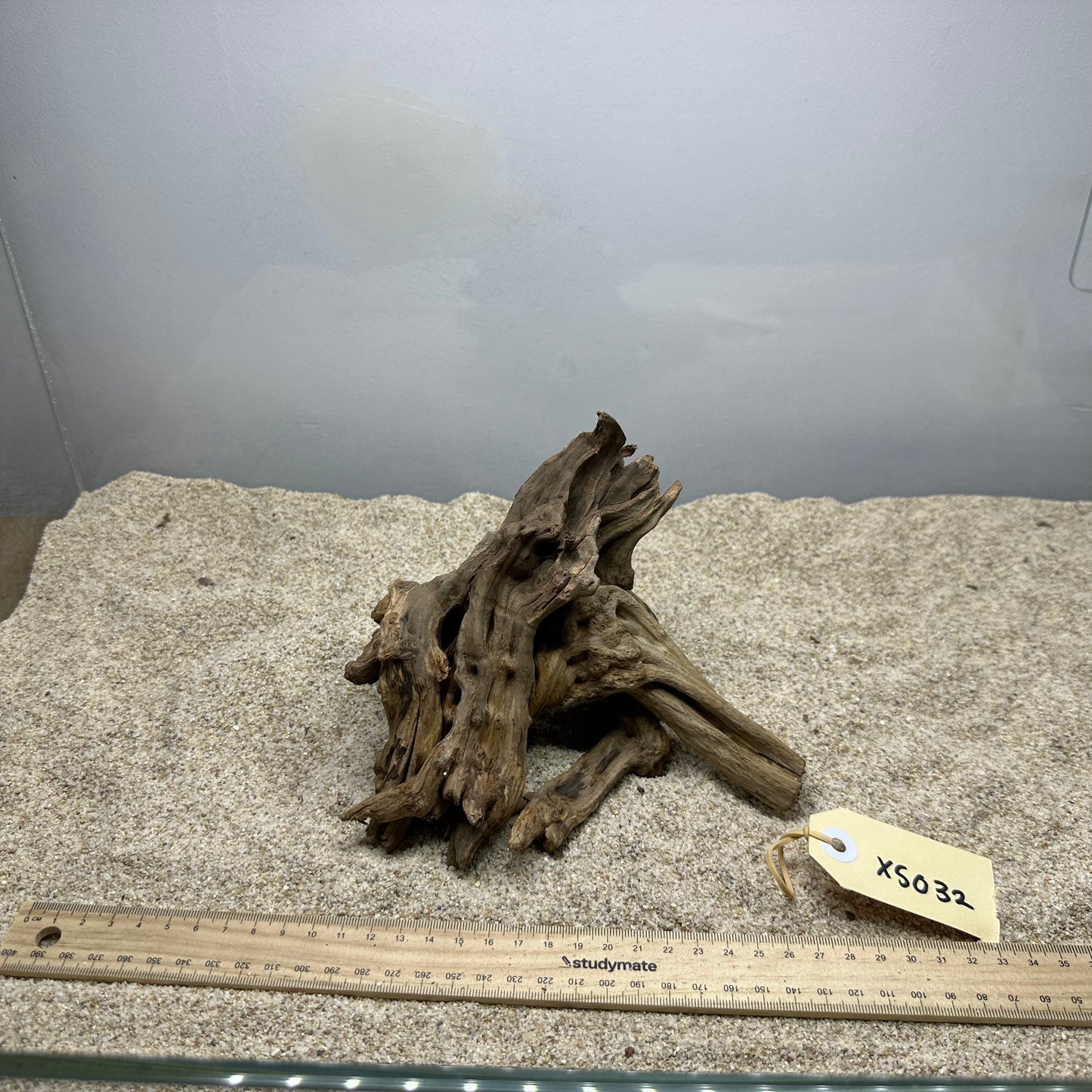 Driftwood (X Small)