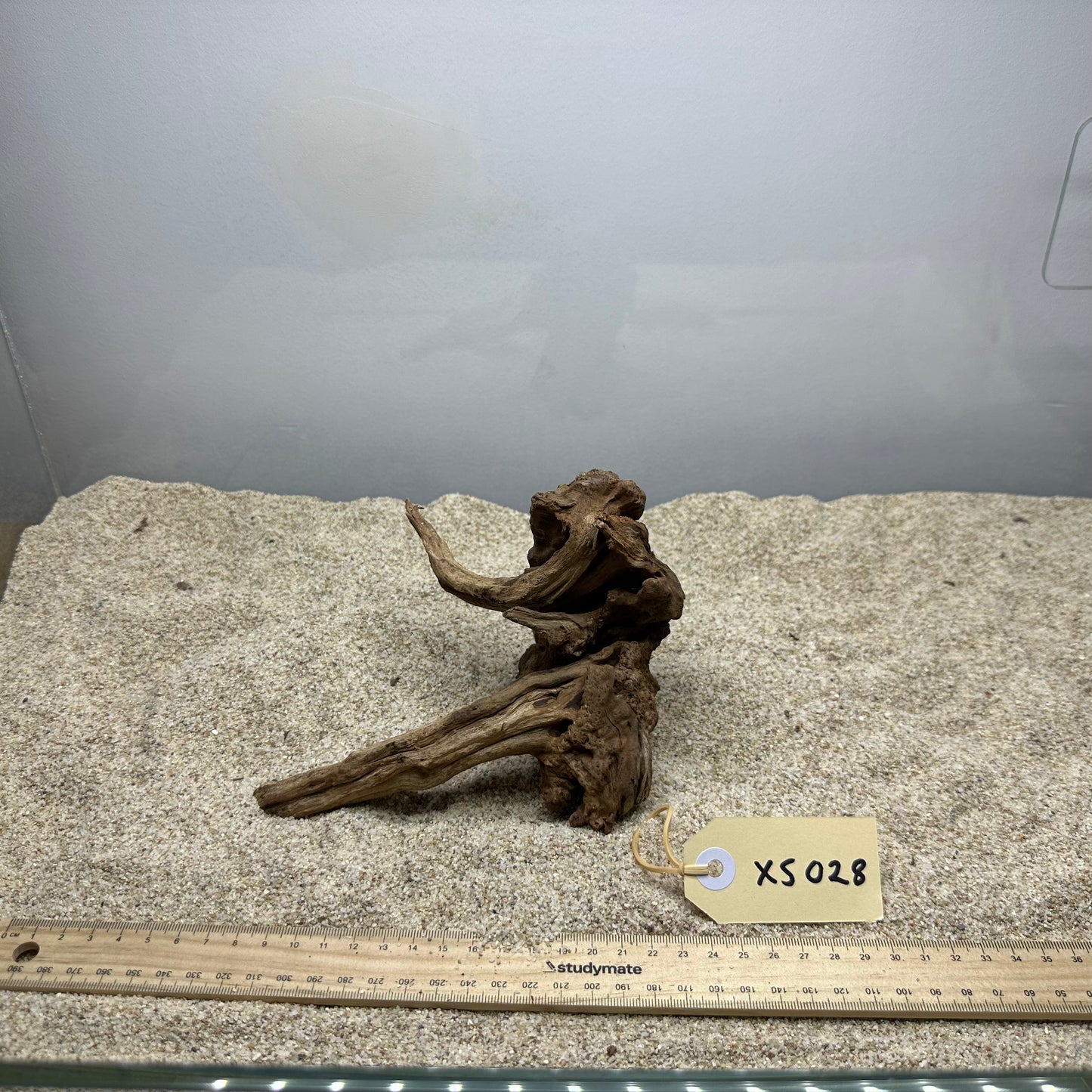Driftwood (X Small)