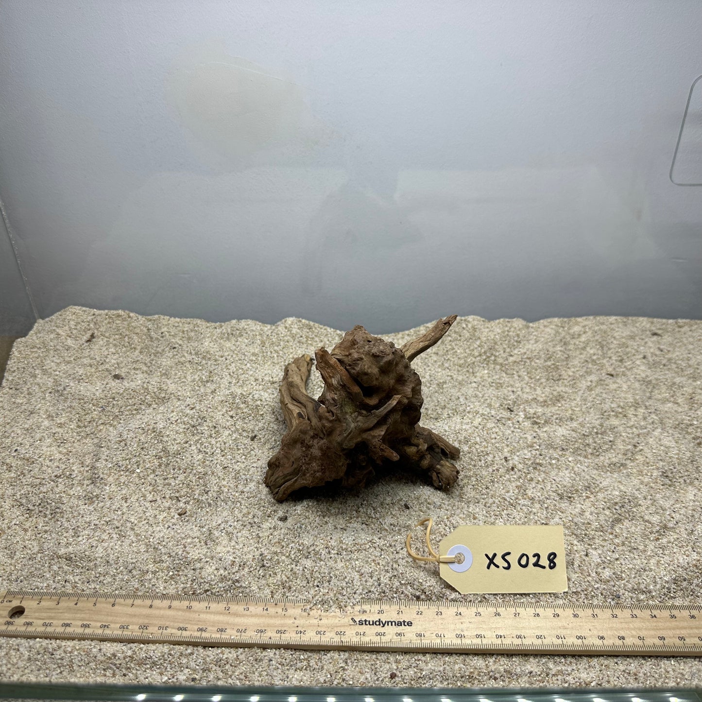 Driftwood (X Small)