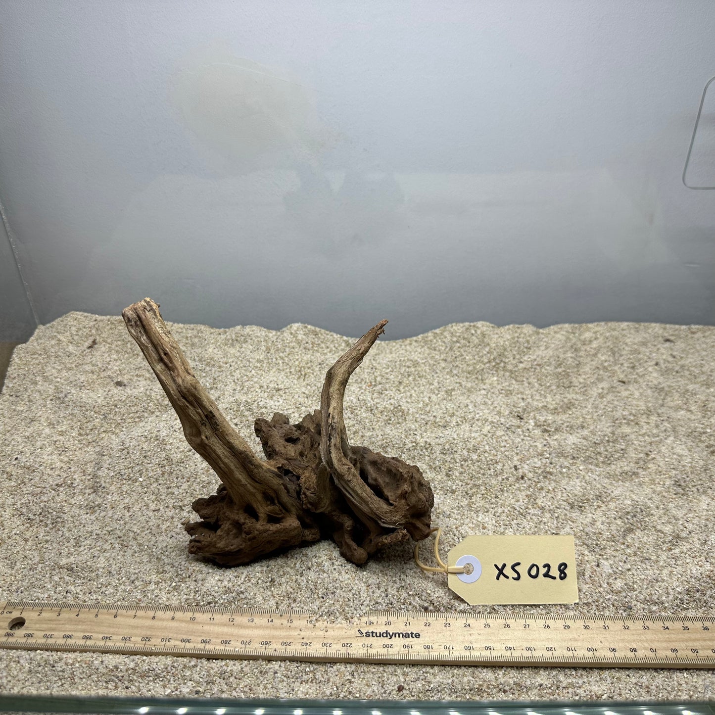 Driftwood (X Small)