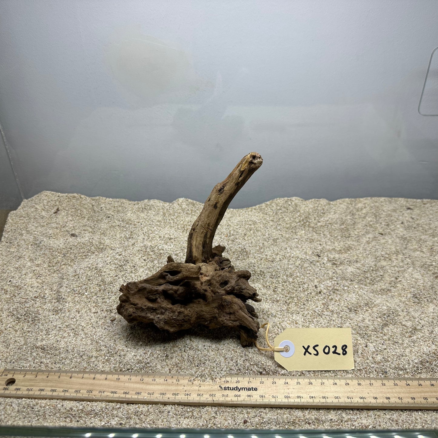 Driftwood (X Small)
