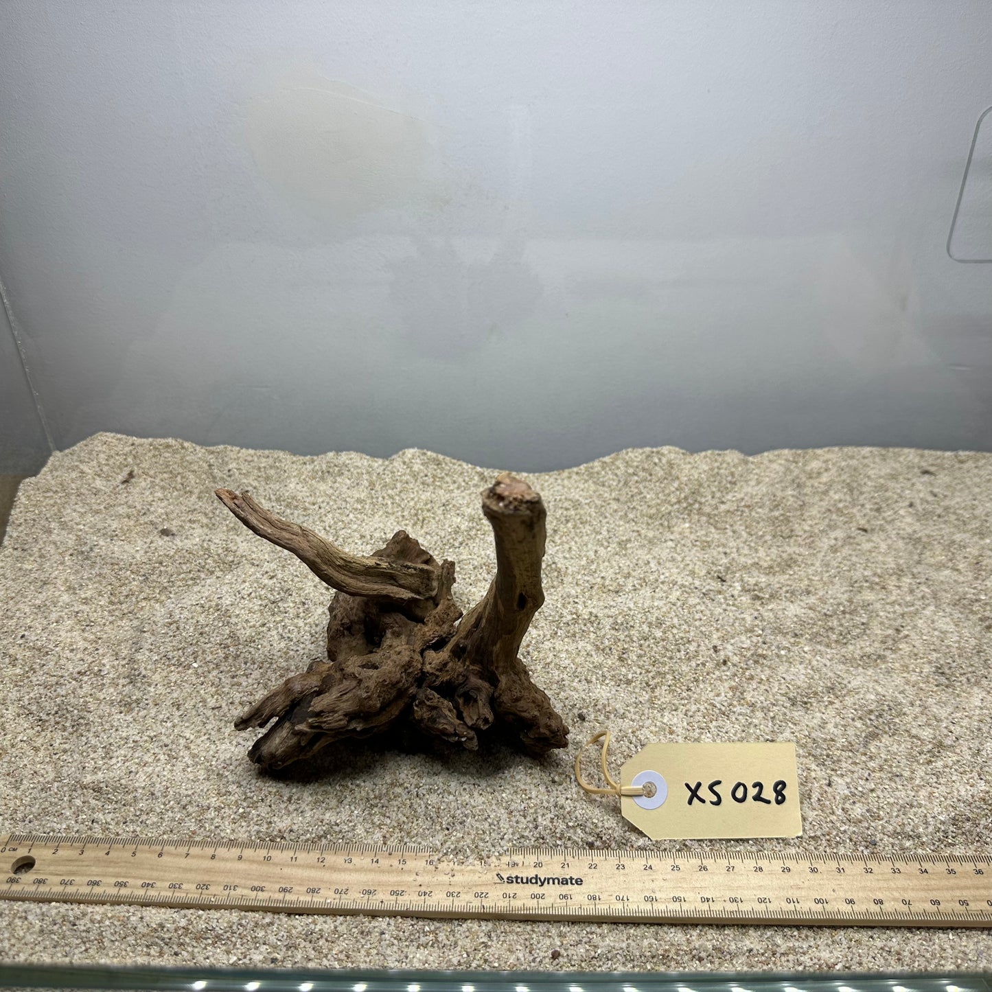 Driftwood (X Small)