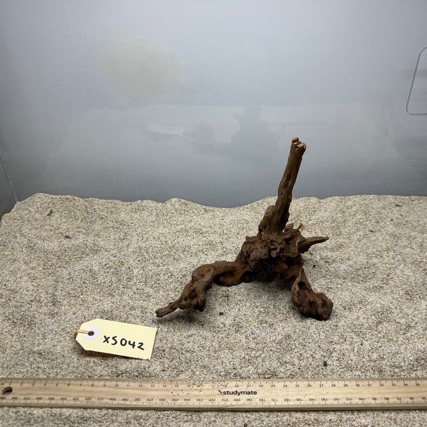 Driftwood (X Small)