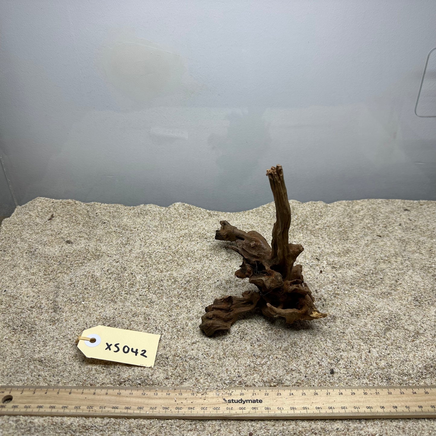 Driftwood (X Small)