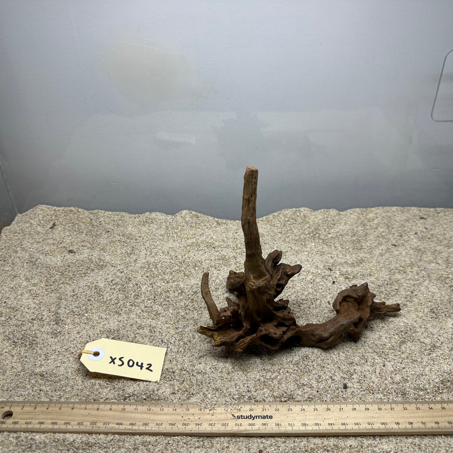 Driftwood (X Small)