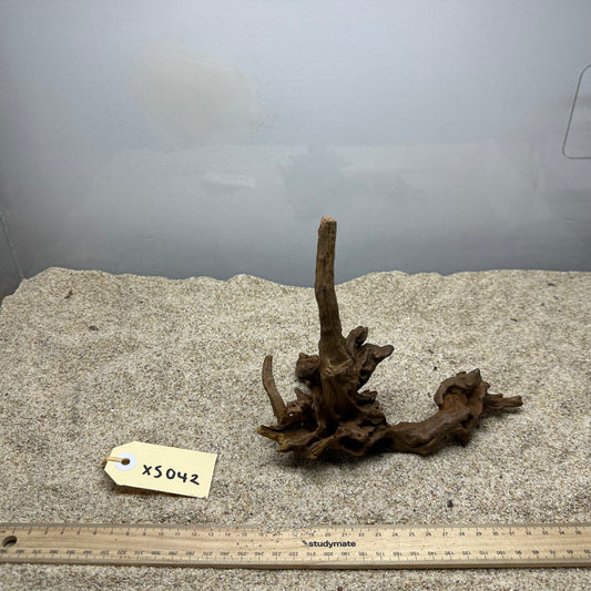 Driftwood (X Small)