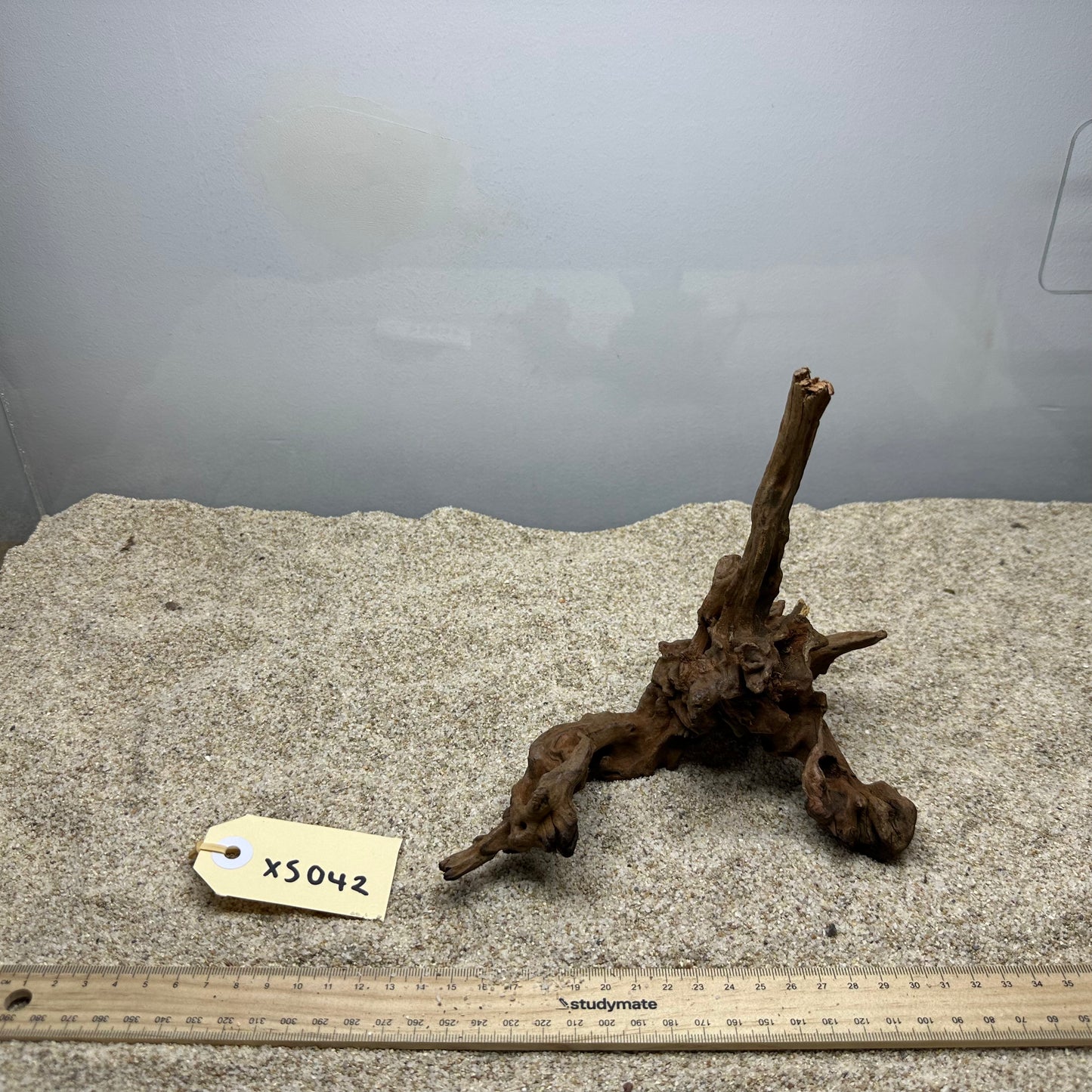Driftwood (X Small)