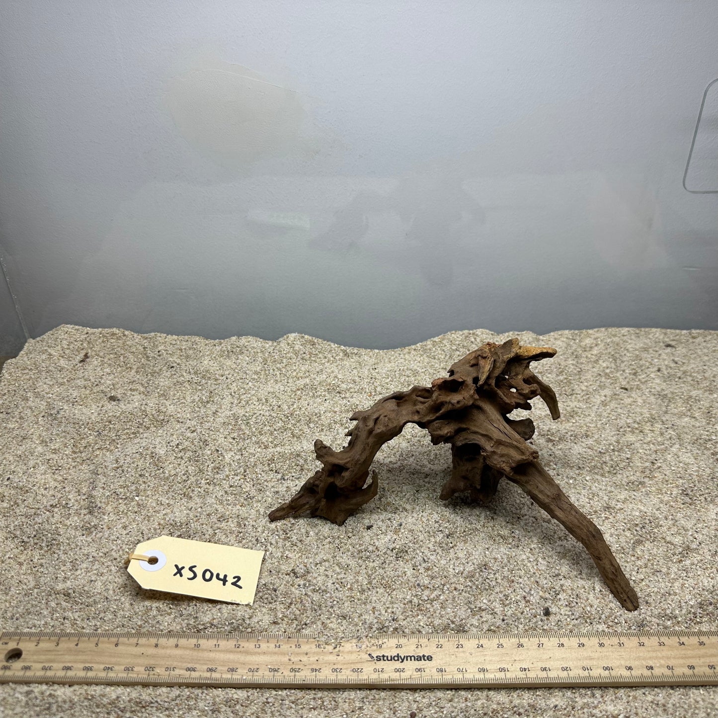 Driftwood (X Small)