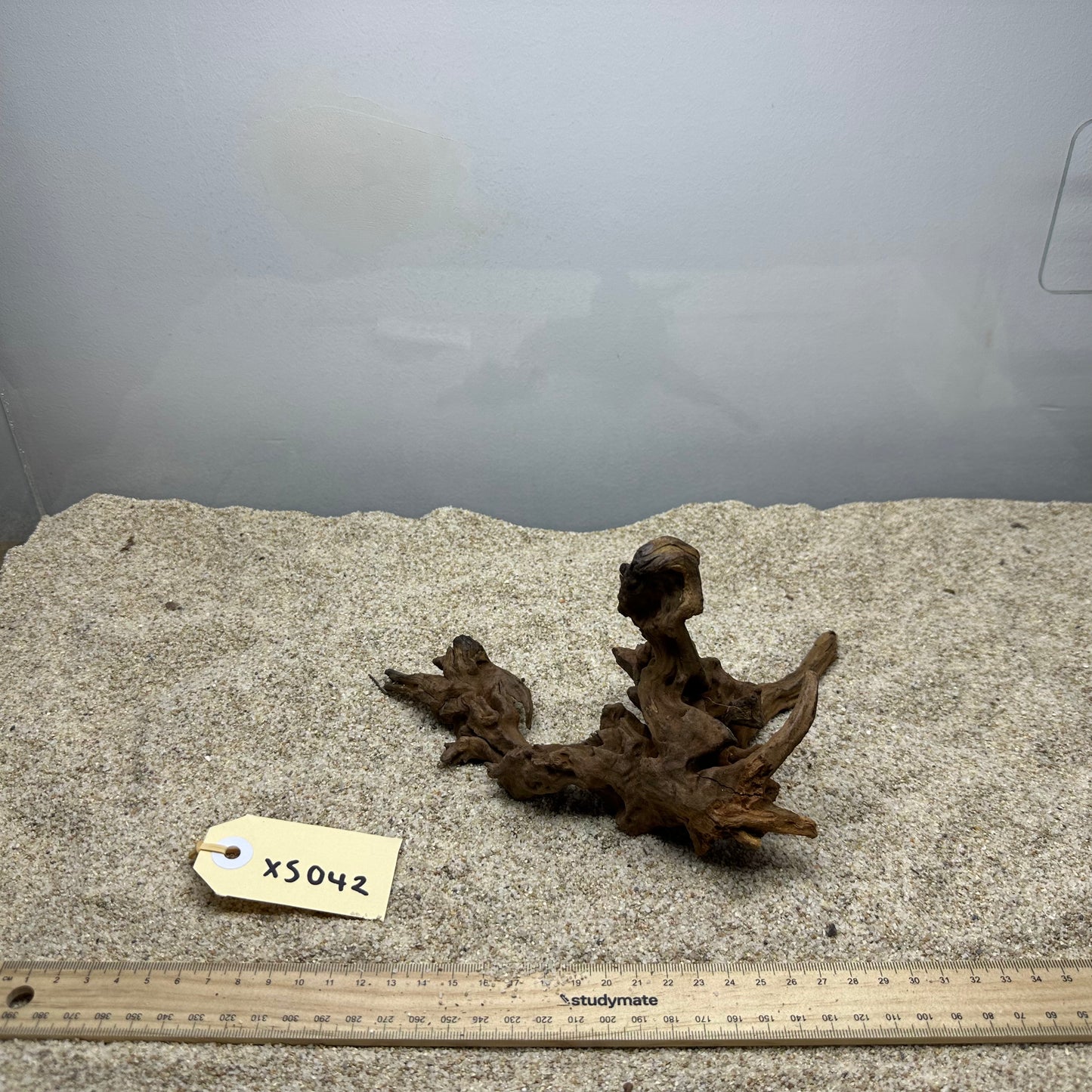 Driftwood (X Small)