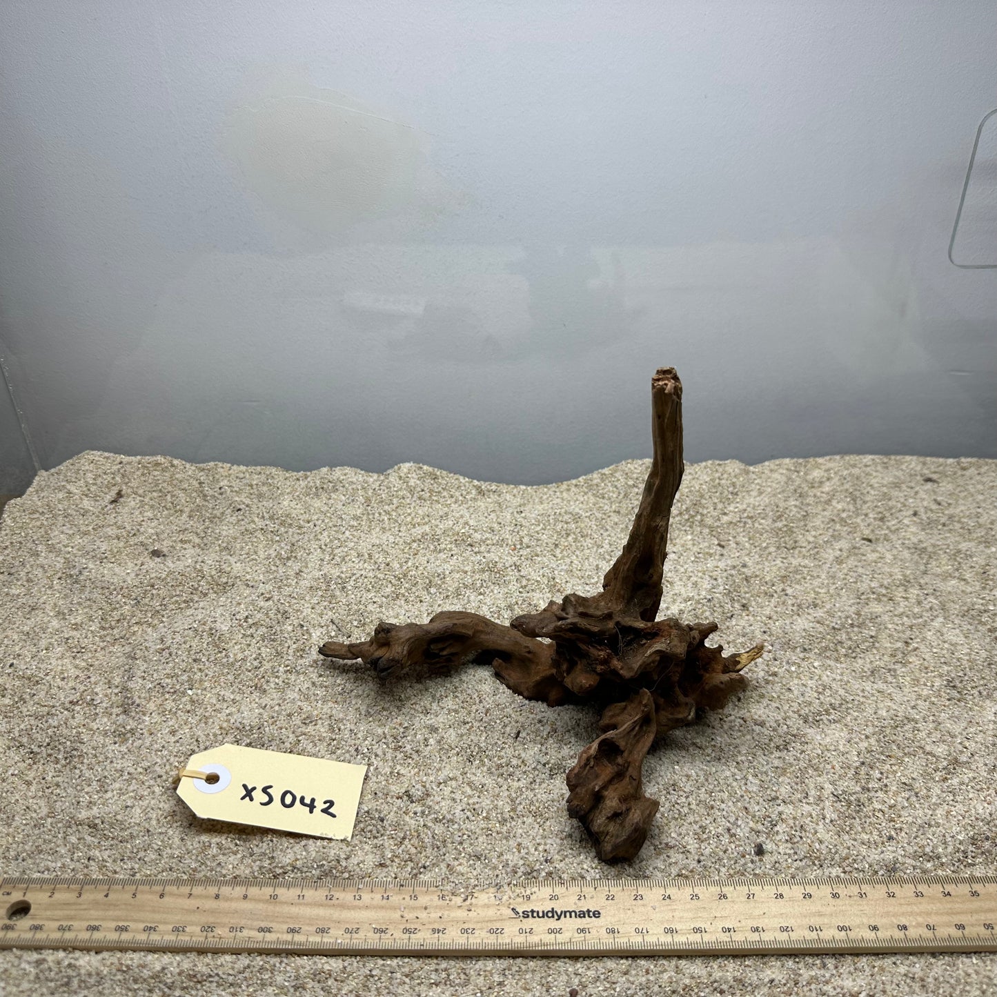 Driftwood (X Small)