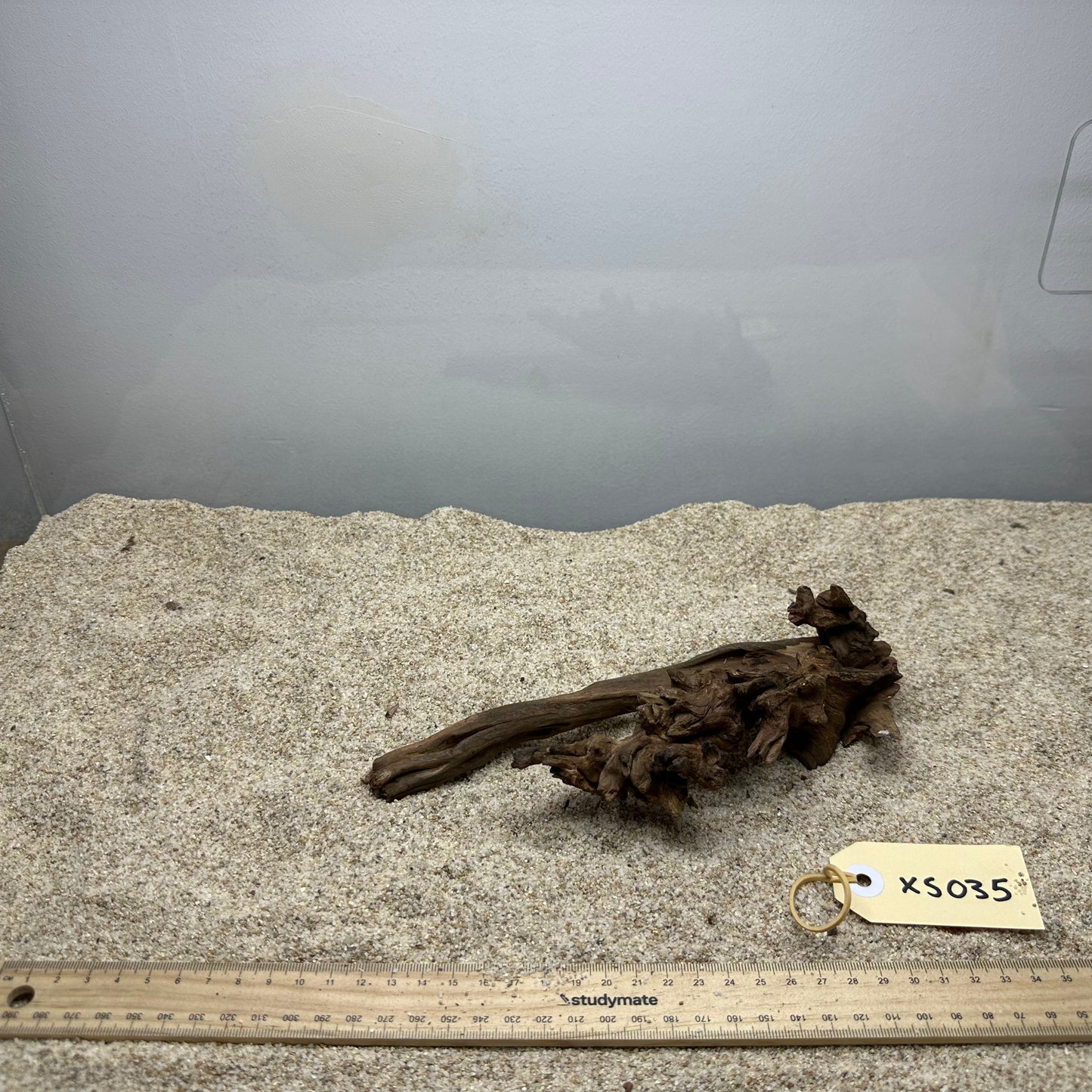 Driftwood (X Small)