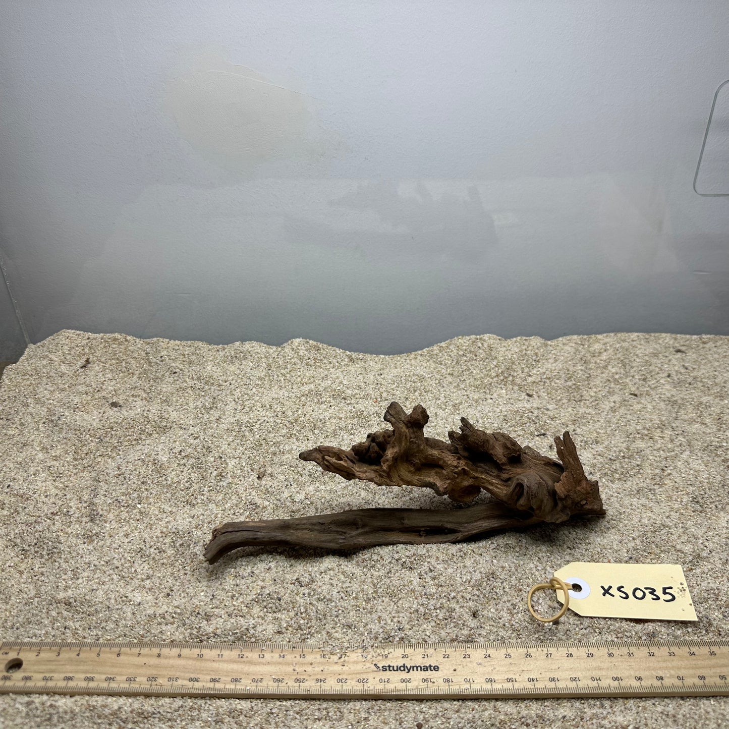 Driftwood (X Small)