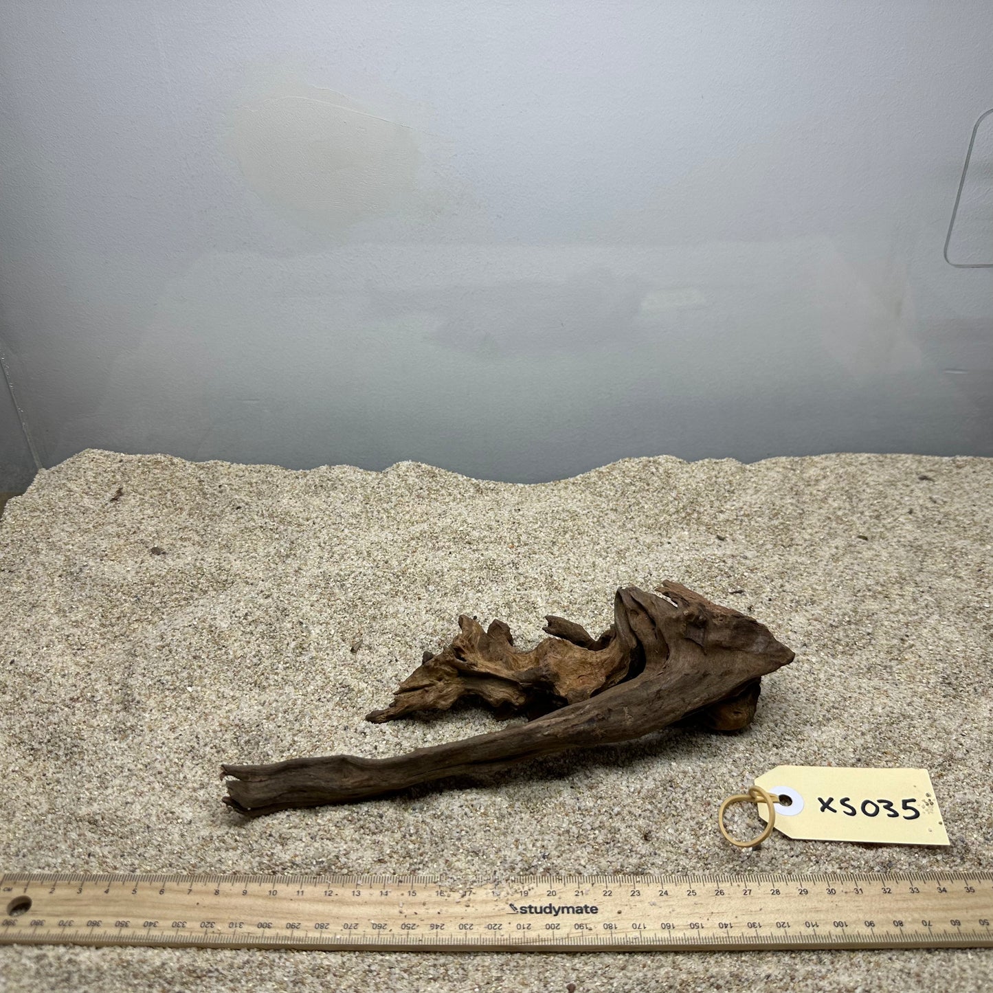 Driftwood (X Small)