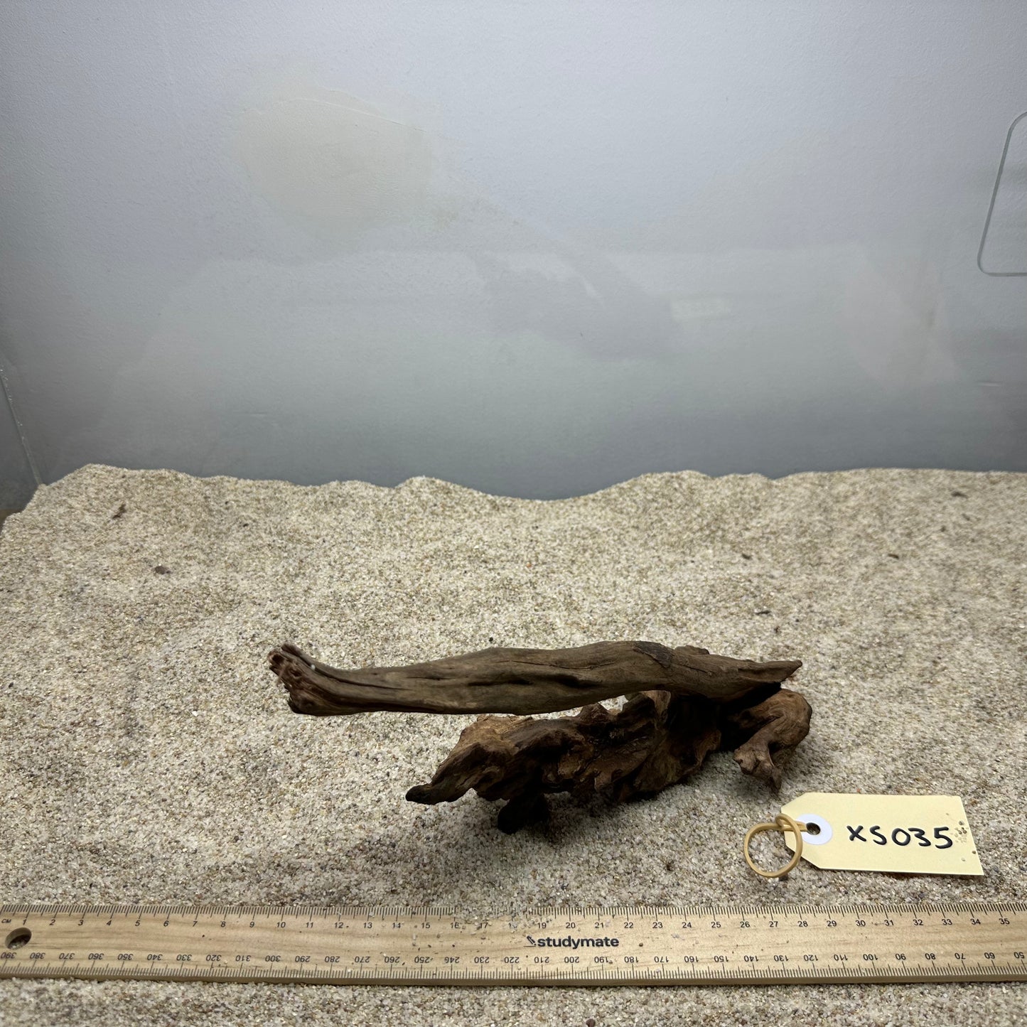 Driftwood (X Small)
