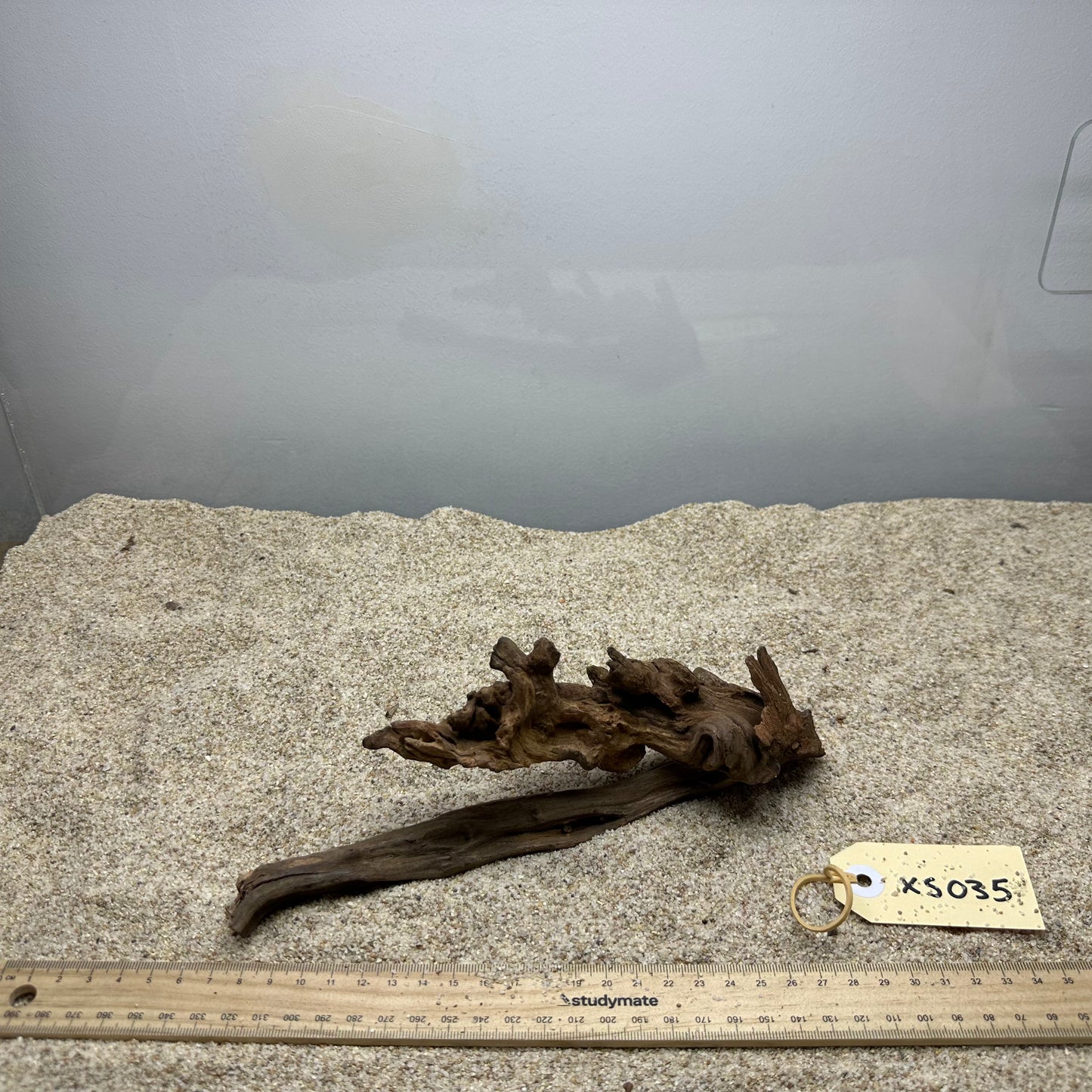 Driftwood (X Small)