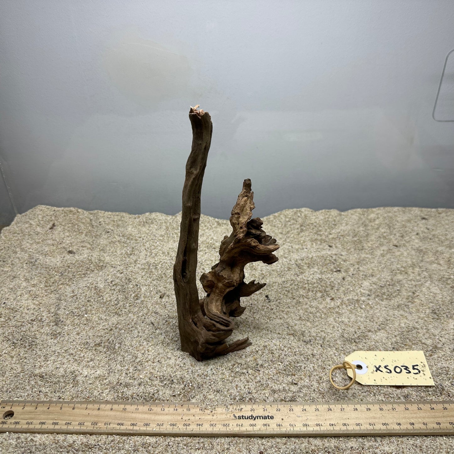 Driftwood (X Small)