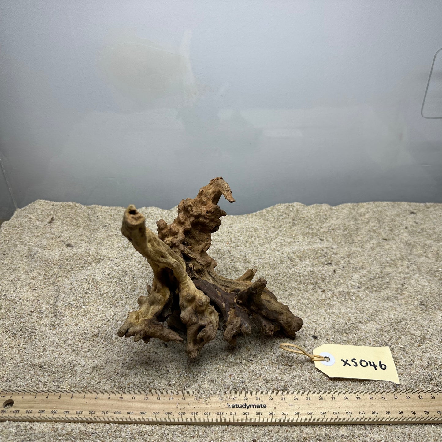 Driftwood (X Small)