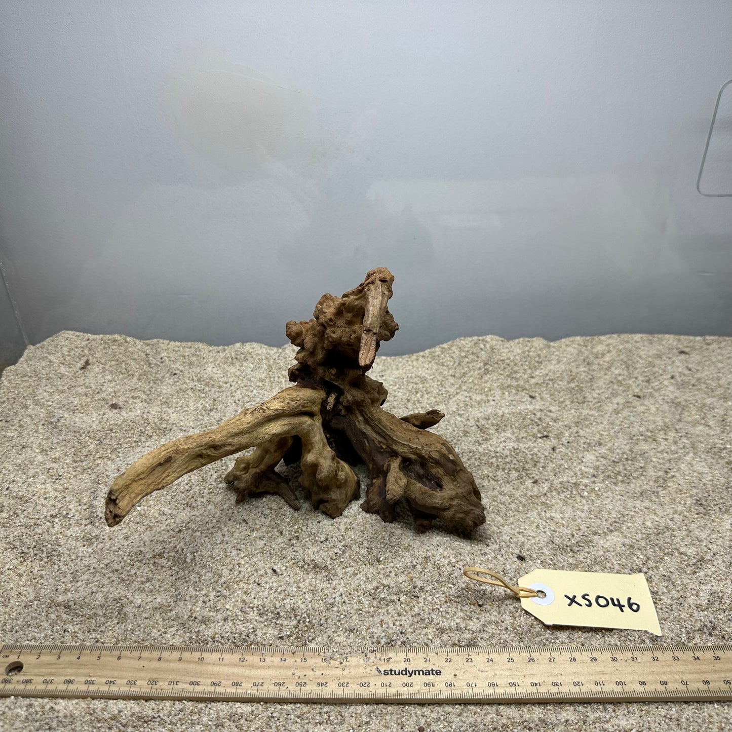 Driftwood (X Small)