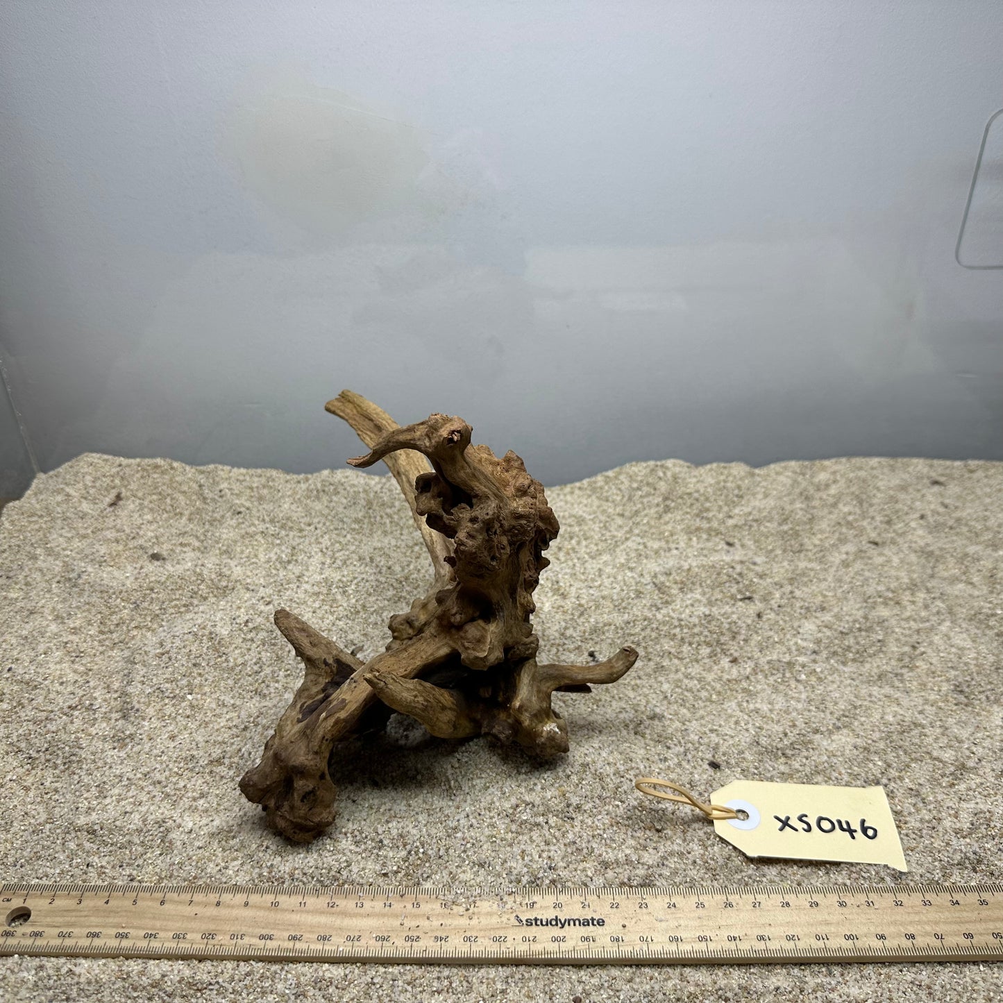 Driftwood (X Small)