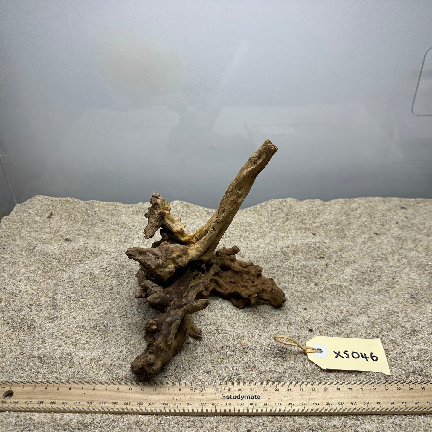 Driftwood (X Small)