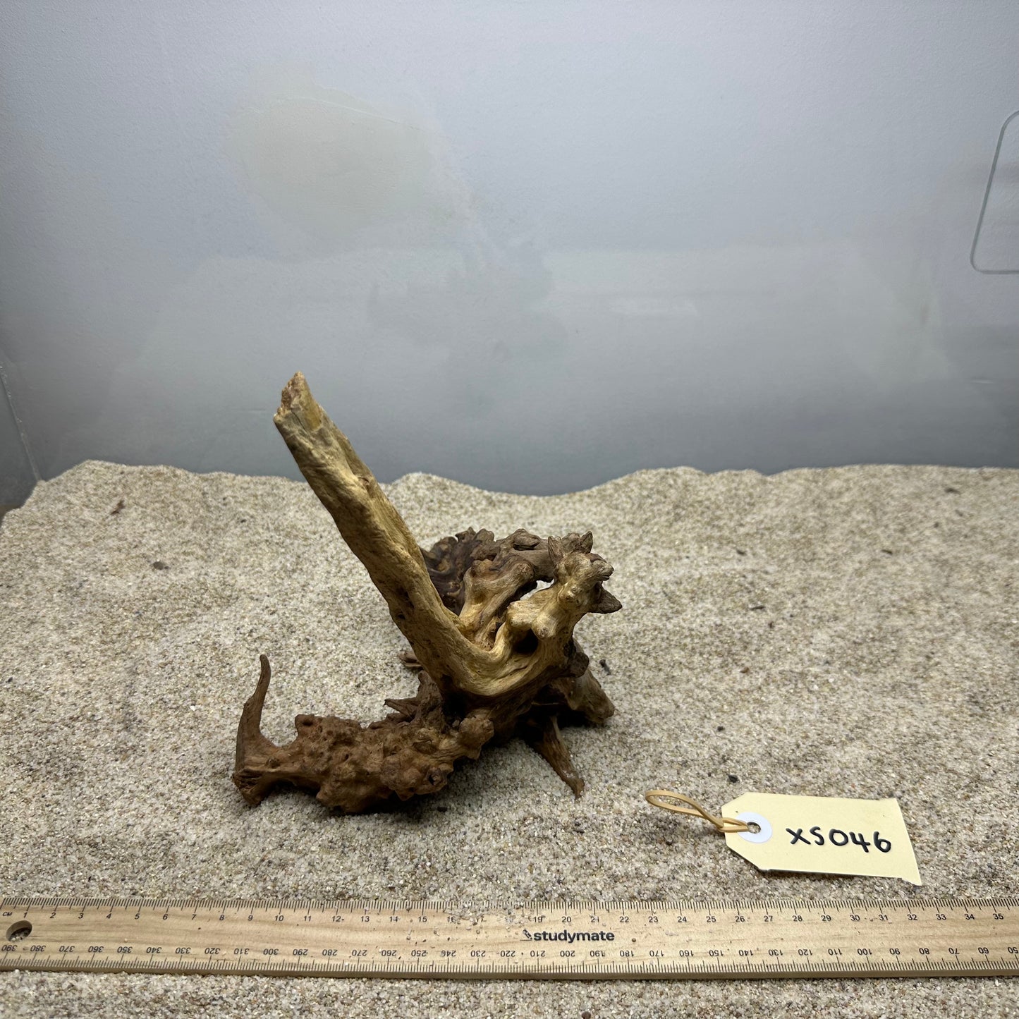 Driftwood (X Small)