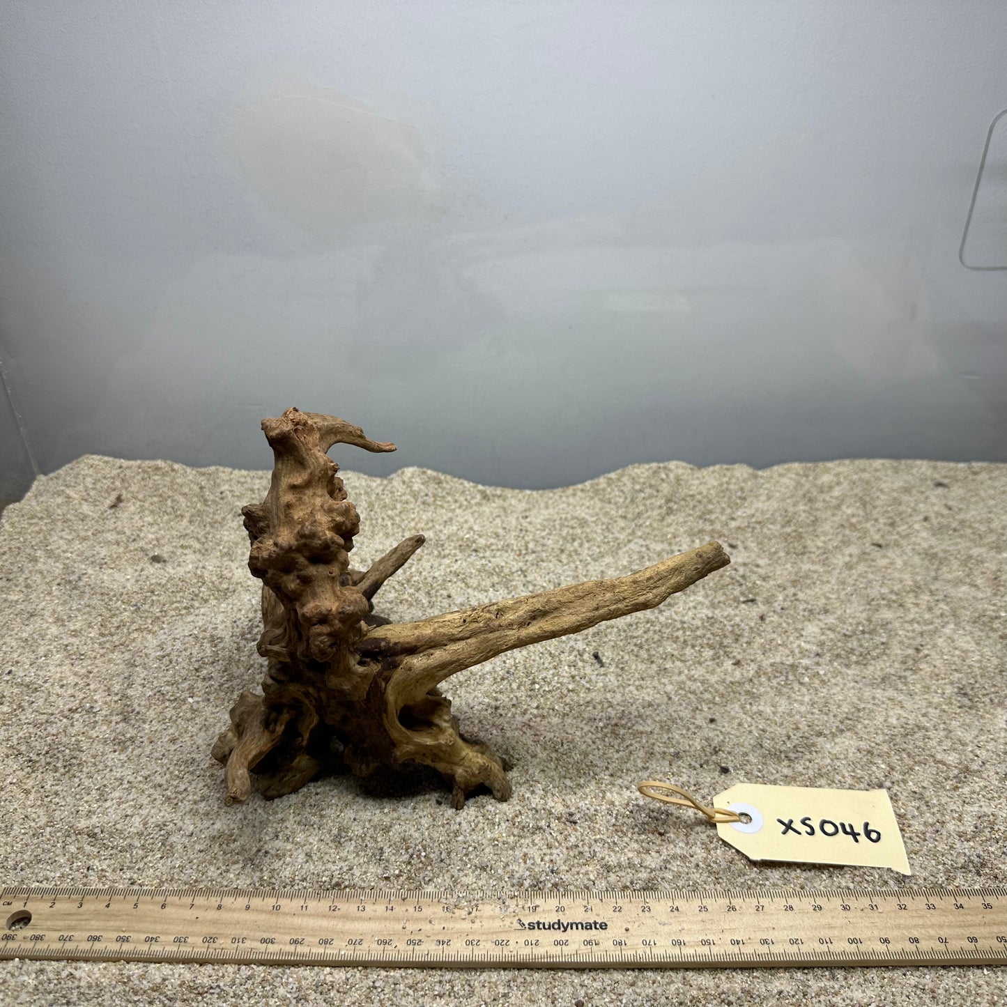Driftwood (X Small)