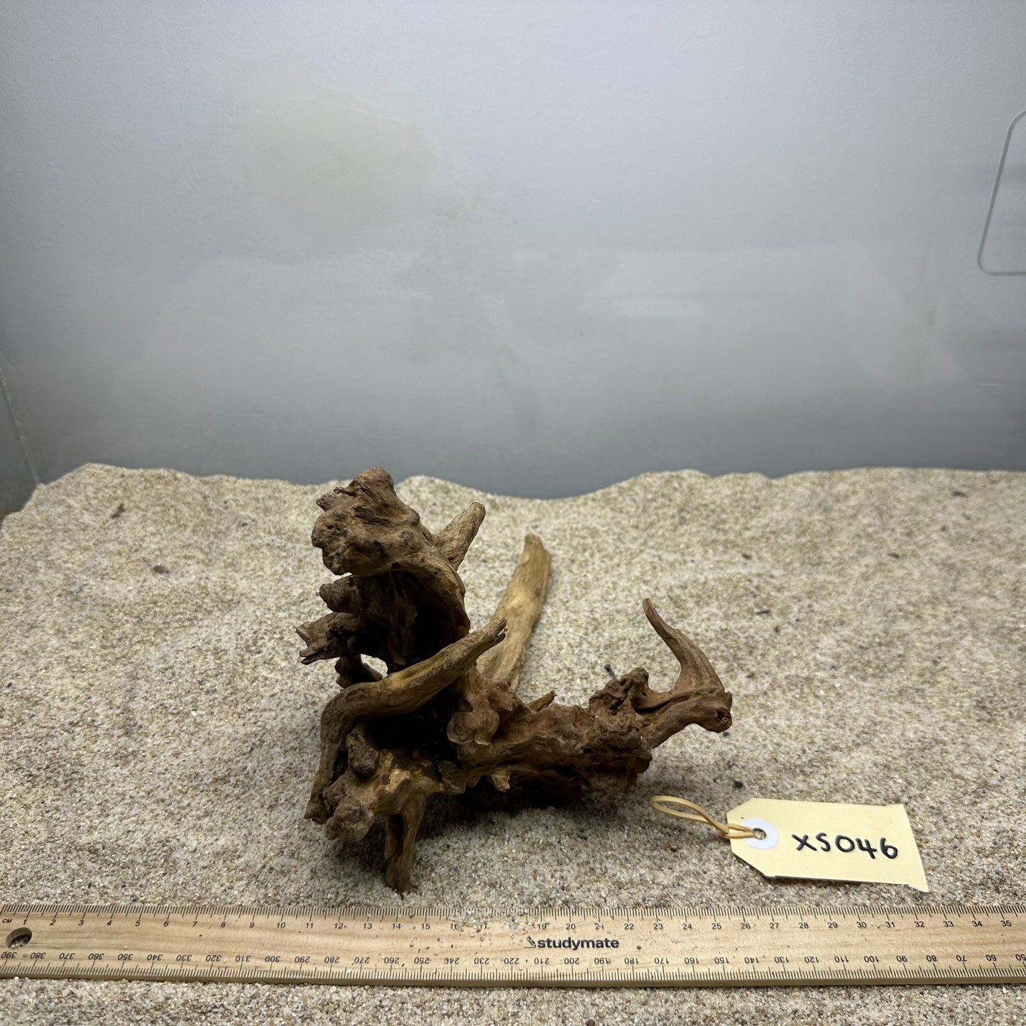 Driftwood (X Small)