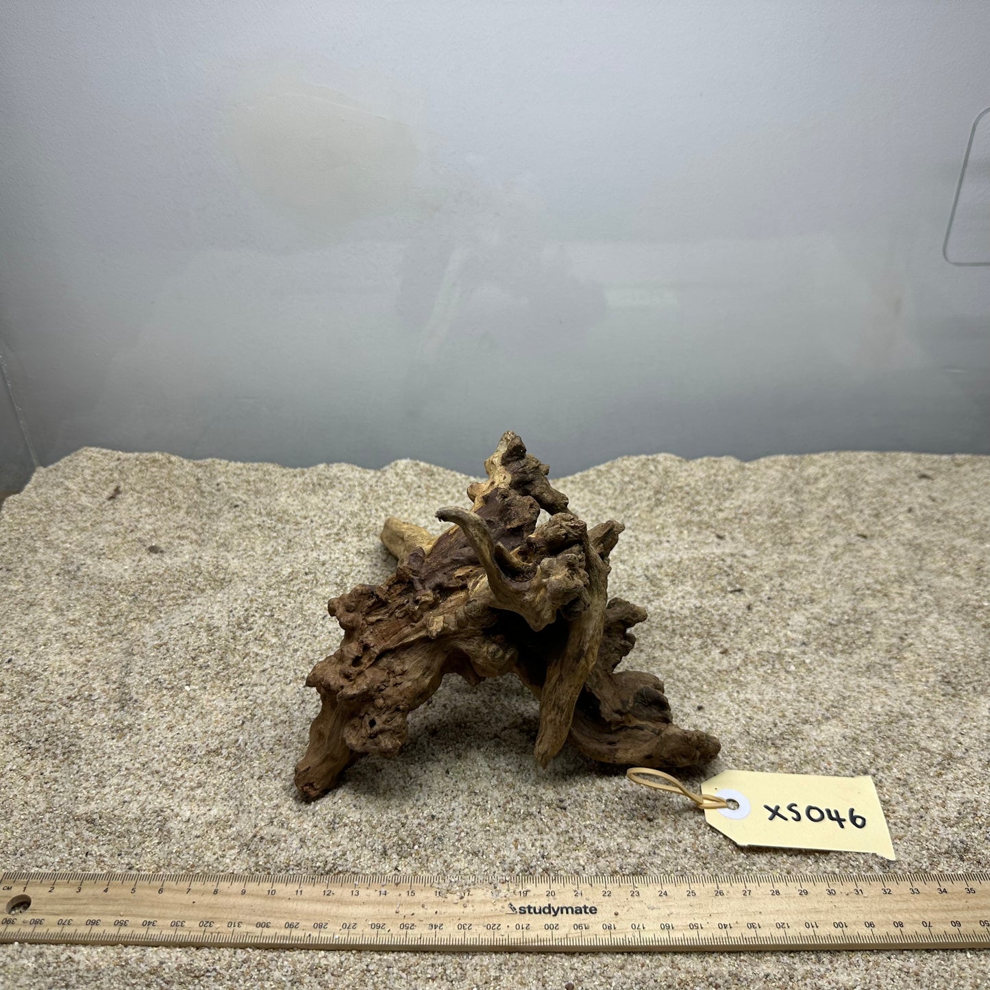 Driftwood (X Small)