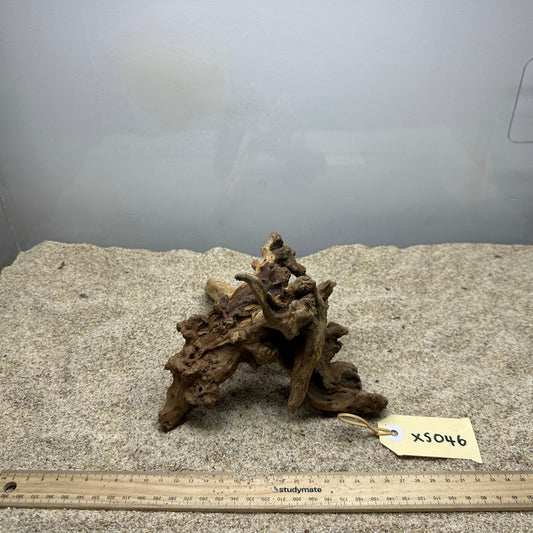 Driftwood (X Small)