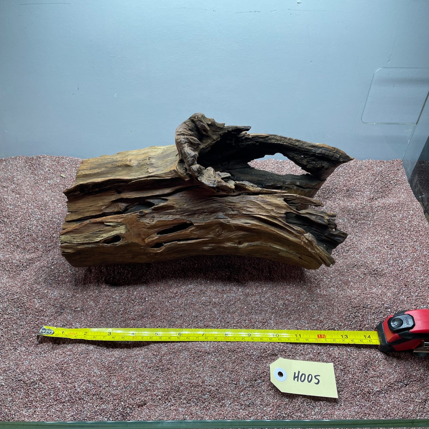Hollow Cave Wood