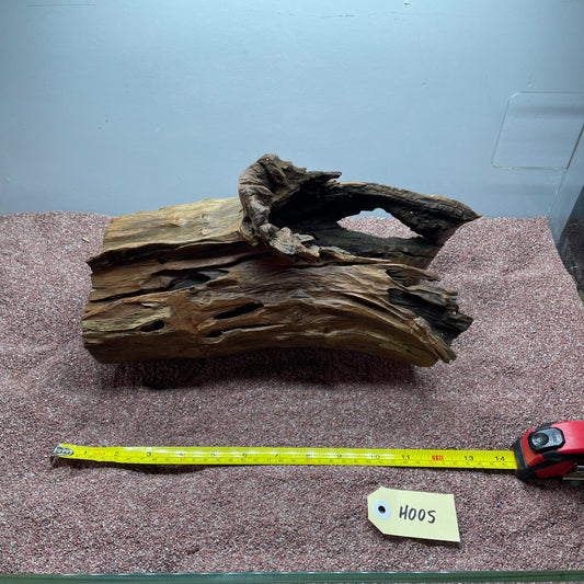 Hollow Cave Wood