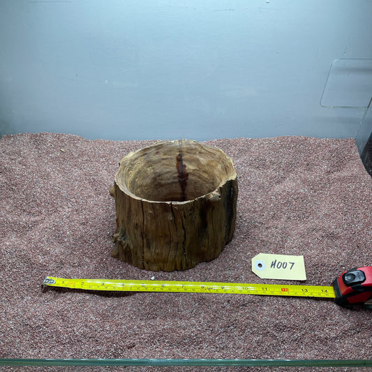 Hollow Cave Wood