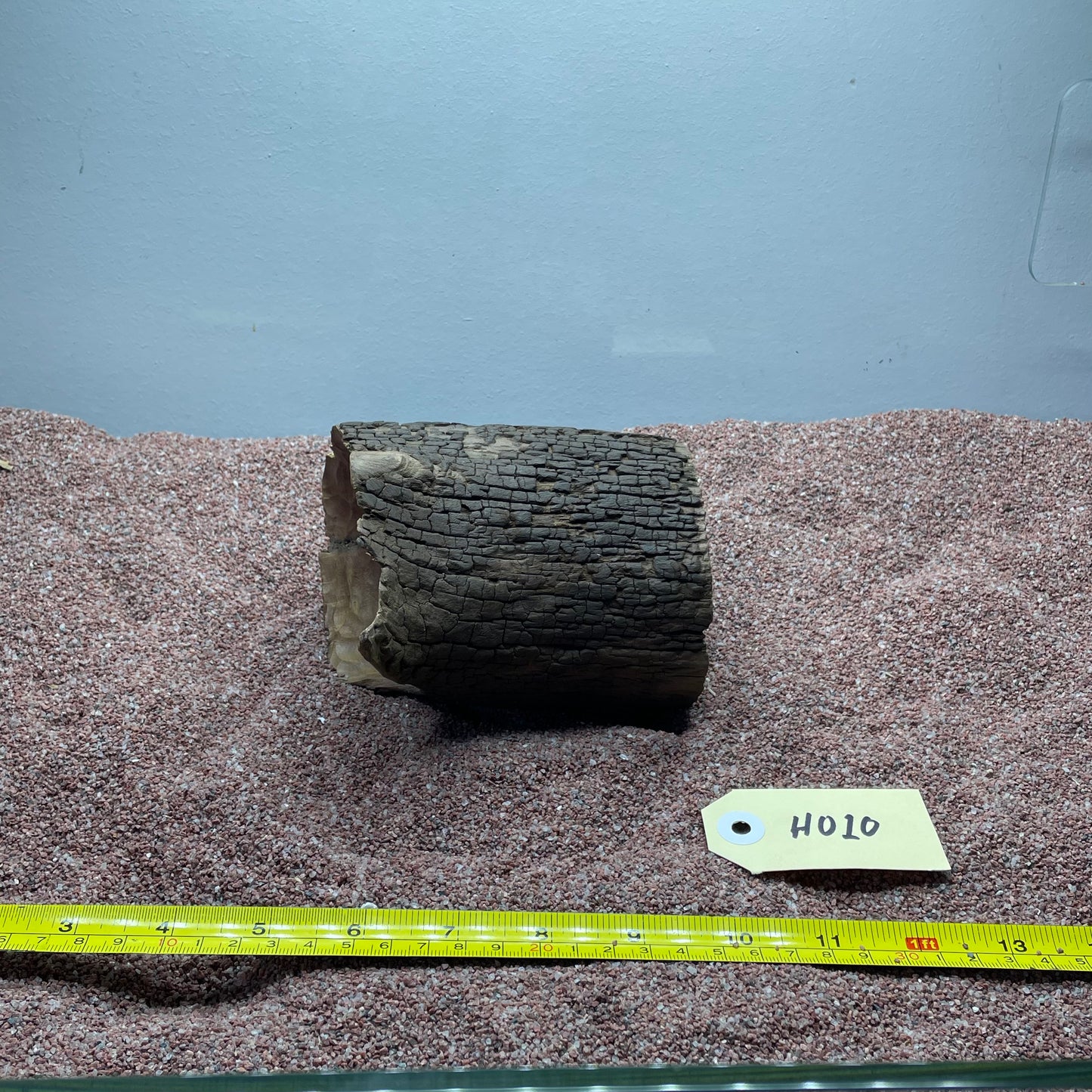 Hollow Cave Wood