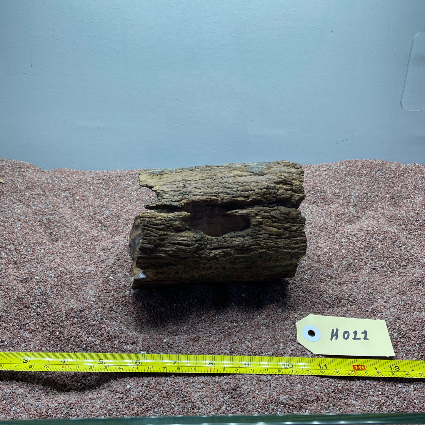 Hollow Cave Wood