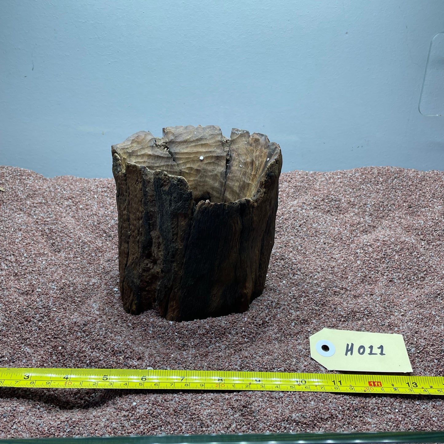 Hollow Cave Wood