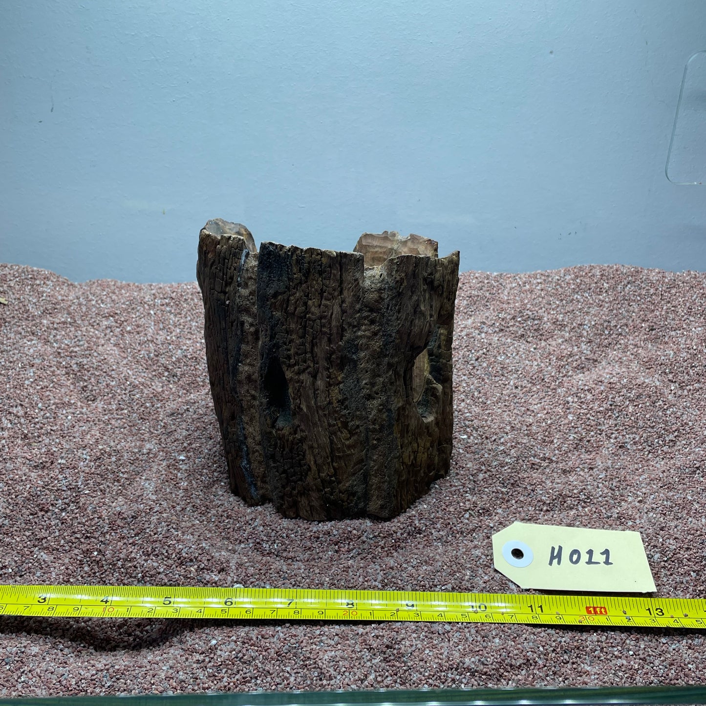 Hollow Cave Wood